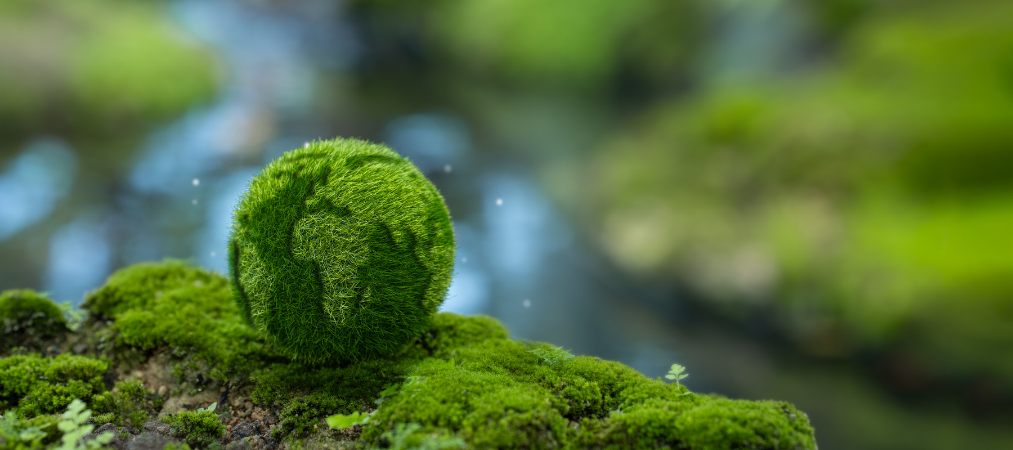 Decarbonization Advisory