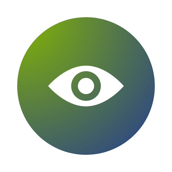 Vision Icon